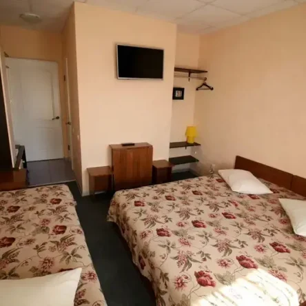 3-х мест. номер. Вид в лес